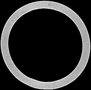 Dixon Replacement buna washers